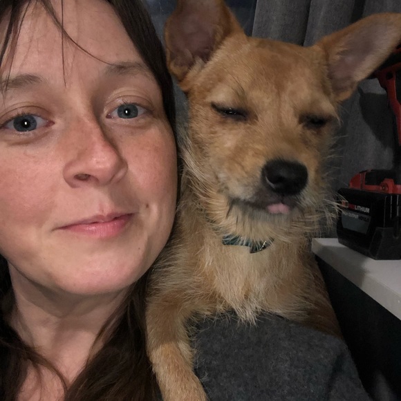 Meet your Posher, Amber - Picture 3 of 4